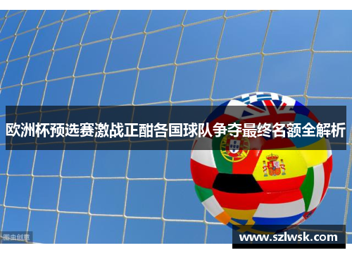 欧洲杯预选赛激战正酣各国球队争夺最终名额全解析