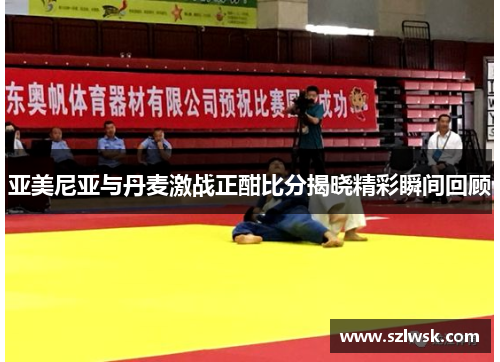 亚美尼亚与丹麦激战正酣比分揭晓精彩瞬间回顾